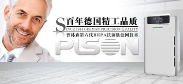 普林森代理商區(qū)域終端市場經(jīng)營策略 精準廣告設計驅動增長